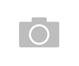 IronLogic IL-17EBlack (4851)