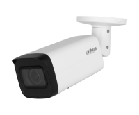 Dahua DH-IPC-HFW2241TP-ZS