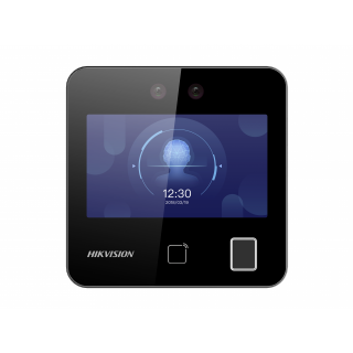 HikVision DS-K1T343EFX фото