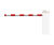 TEMID (Zkteco) T-proBG8060R