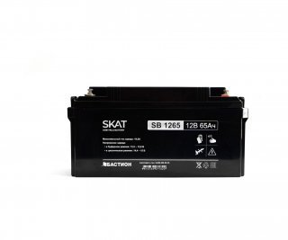 Бастион SKAT SB 1265 фото